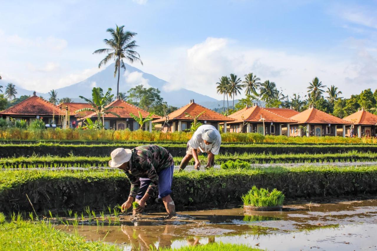 Sri Lestari Banyuatis Villa Munduk Exteriör bild