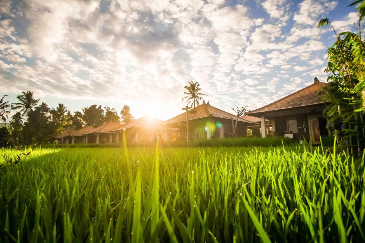 Sri Lestari Banyuatis Villa Munduk Exteriör bild